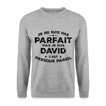 David Un Prénom, Une Attitude L’Humour David - Sweat-shirt Unisexe - gris chiné - Devant - Alina (178cm) & Michal (187cm)