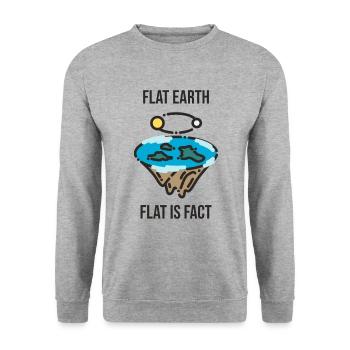 La terre est plate - Sweat-shirt Unisexe - gris chiné - Devant - Alina (178cm) & Michal (187cm)