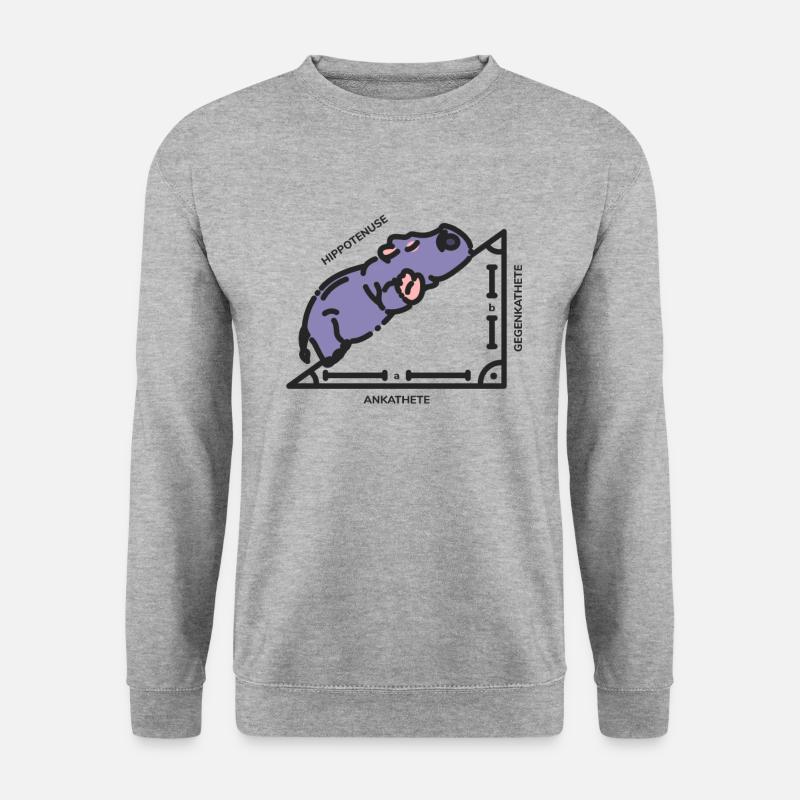 Hippothenuse triangle mathematician - Unisex Sweatshirt - salt & pepper