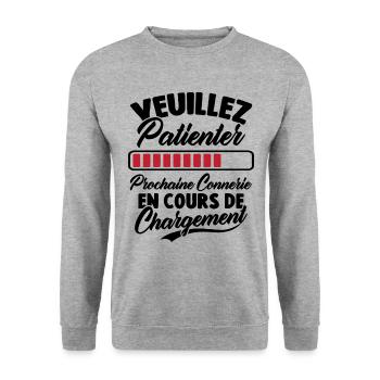 Veuillez patienter Prochaine connerie en cours - Sweat-shirt Unisexe - gris chiné - Devant - Alina (178cm) & Michal (187cm)