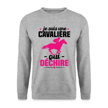 Je Suis Une Cavalière Qui Déchire Cadeau - Sweat-shirt Unisexe - gris chiné - Devant - Alina (178cm) & Michal (187cm)