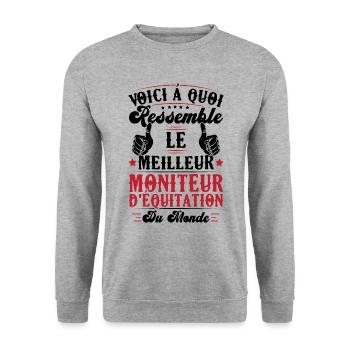 Le meilleur moniteur d'équitation du monde - Sweat-shirt Unisexe - gris chiné - Devant - Alina (178cm) & Michal (187cm)