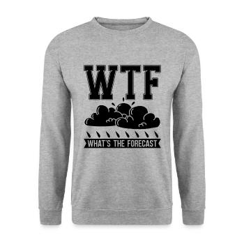 Wtf What's The Meteorology Weather Meteorologist - Unisex Sweatshirt - salt & pepper - Front - Alina (178cm) & Michal (187cm)