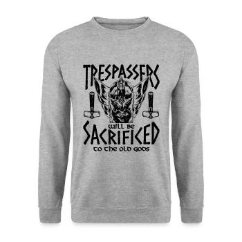 Trespassers Will Be Valkyrie Norse Mythology Lover - Unisex Pullover - Weißgrau meliert - Vorne - Alina (178cm) & Michal (187cm)
