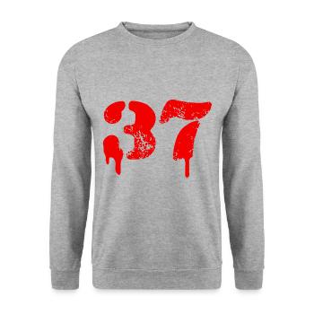 37 Symbole numérique - Sweat-shirt Unisexe - gris chiné - Devant - Alina (178cm) & Michal (187cm)