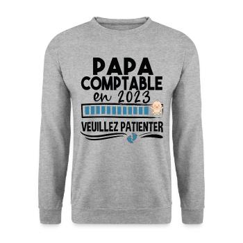 Papa 2023 Comptable Comptabilité Calcul Métier - Sweat-shirt Unisexe - gris chiné - Devant - Alina (178cm) & Michal (187cm)