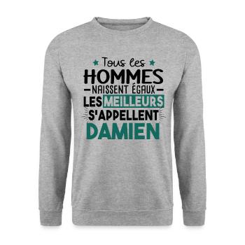 Damien Prénom Homme Cadeau Humour - Sweat-shirt Unisexe - gris chiné - Devant - Alina (178cm) & Michal (187cm)