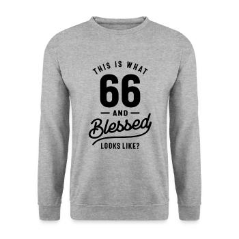 66 Jahre alt - 66. Geburtstag lustiges Geschenk - Unisex Pullover - Weißgrau meliert - Vorne - Alina (178cm) & Michal (187cm)