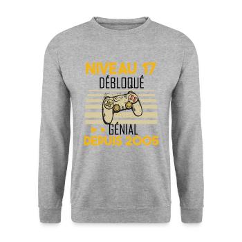 niveau 17 débloqué génial depuis 2005 - Sweat-shirt Unisexe - gris chiné - Devant - Alina (178cm) & Michal (187cm)