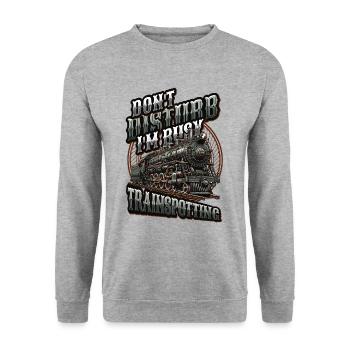Trainspotting Train Lovers Trains - Sweat-shirt Unisexe - gris chiné - Devant - Alina (178cm) & Michal (187cm)