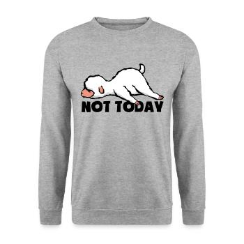 Pas aujourd’hui - Fatigué et paresseux - Agneau - Mouton - Sweat-shirt Unisexe - gris chiné - Devant - Alina (178cm) & Michal (187cm)