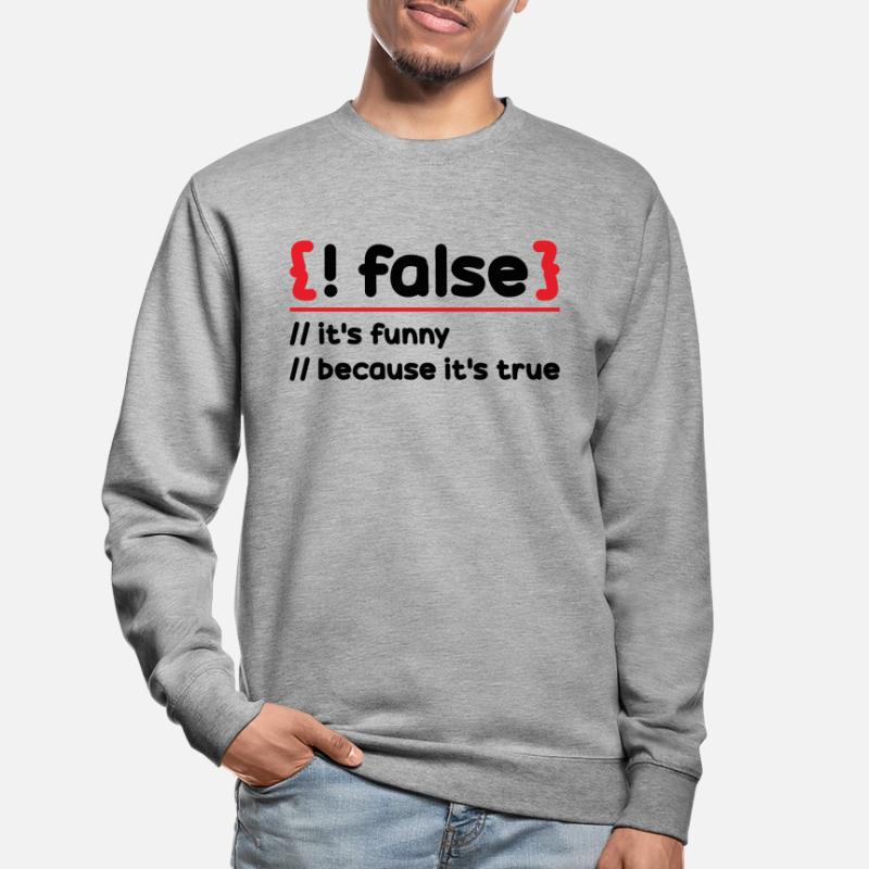 Programmierer Programmierung Software Coding Encoder Unisex Pullover