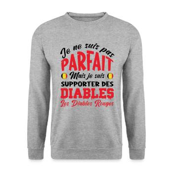 DIABLES ROUGE BELGIQUE - Sweat-shirt Unisexe - gris chiné - Devant - Alina (178cm) & Michal (187cm)
