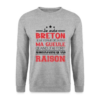 Je suis Breton - Sweat-shirt Unisexe - gris chiné - Devant - Alina (178cm) & Michal (187cm)