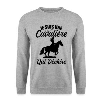 Je Suis Une Cavalière Qui Déchire Chevaux Cadeau - Sweat-shirt Unisexe - gris chiné - Devant - Alina (178cm) & Michal (187cm)