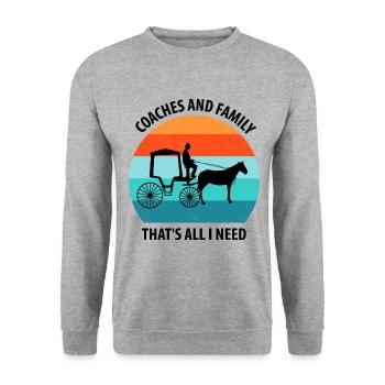 Calèche de cocher Calèche tirée par des chevaux Calèche - Sweat-shirt Unisexe - gris chiné - Devant - Alina (178cm) & Michal (187cm)