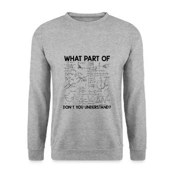 Mathematician sayings | Math math teacher gifts - Unisex Sweatshirt - salt & pepper - Front - Alina (178cm) & Michal (187cm)