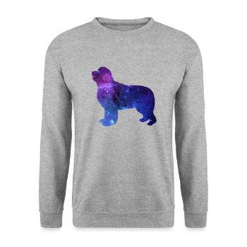 Cadeau Chien Terre-Neuve Galaxy Universe - Sweat-shirt Unisexe - gris chiné - Devant - Alina (178cm) & Michal (187cm)