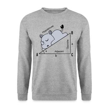 Funny Math Humor Hippotenuse Hypotenuse - Unisex Sweatshirt - salt & pepper - Front - Alina (178cm) & Michal (187cm)