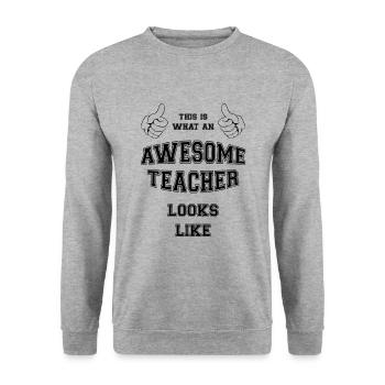 FANTASTISCHER LEHRER - Unisex Pullover - Weißgrau meliert - Vorne - Alina (178cm) & Michal (187cm)