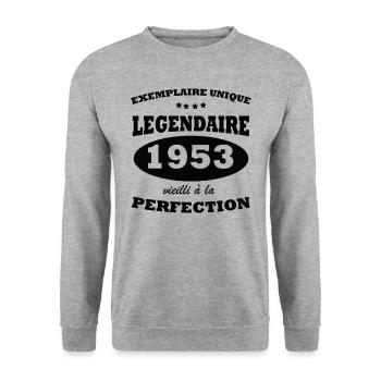 Vintage exemplaire unique 1953 Edition limitée - Sweat-shirt Unisexe - gris chiné - Devant - Alina (178cm) & Michal (187cm)