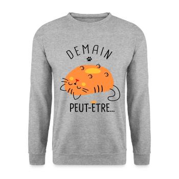 Chat peut etre demain Humour drôle - Sweat-shirt Unisexe - gris chiné - Devant - Alina (178cm) & Michal (187cm)