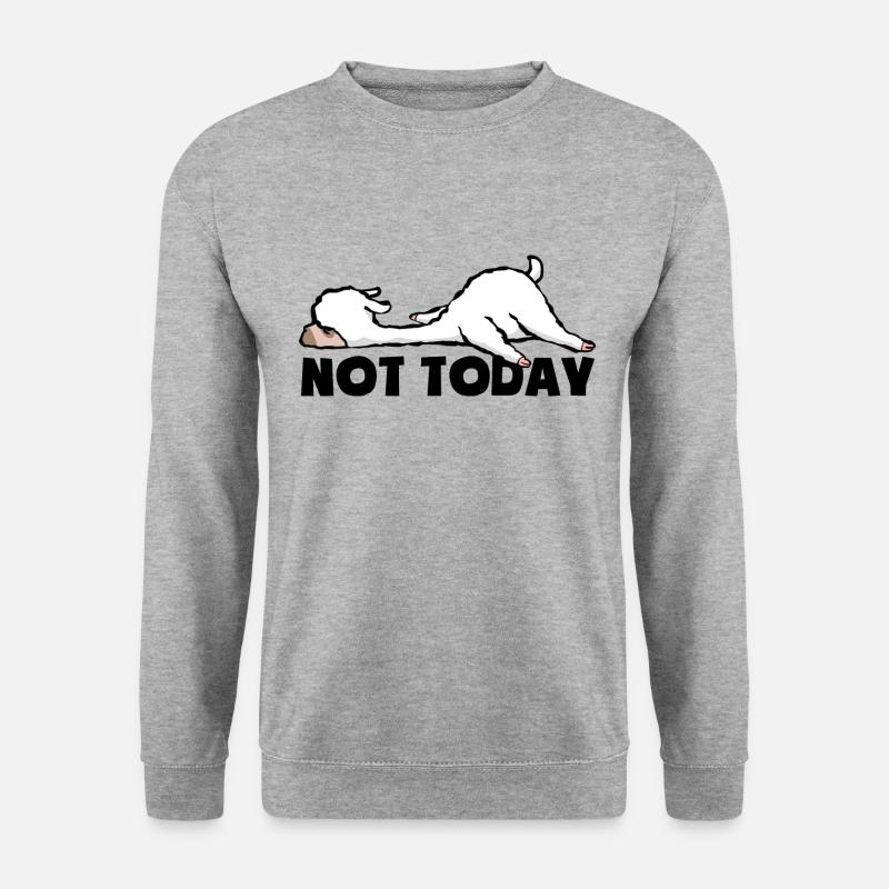 Not today - Müde und faul - Lama - Unisex Pullover - Weißgrau meliert