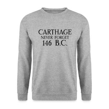Karthago Punische Kriege Hannibal Barca Rom Gegen - Unisex Pullover - Weißgrau meliert - Vorne - Alina (178cm) & Michal (187cm)