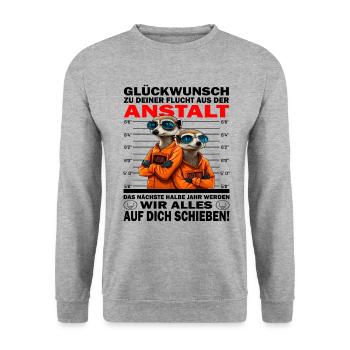 Glückwunsch zur Flucht aus der Anstalt Jobwechsel - Unisex Pullover - Weißgrau meliert - Vorne - Alina (178cm) & Michal (187cm)