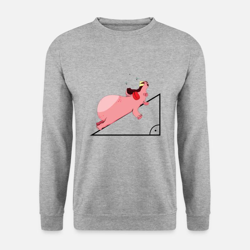 Hippopotamus hypotenuse math Funny - Unisex Sweatshirt - salt & pepper