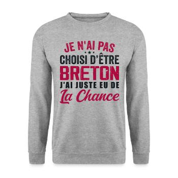 Pas Choisi D etre Breton - Cadeau Humour - Sweat-shirt Unisexe - gris chiné - Devant - Alina (178cm) & Michal (187cm)