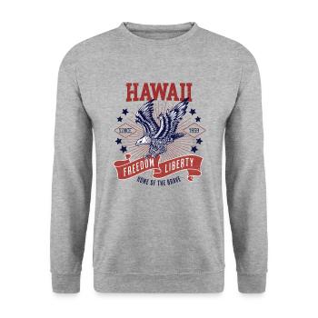 Retro USA Adler Freiheit 1959 Vintage Hawaii - Unisex Pullover - Weißgrau meliert - Vorne - Alina (178cm) & Michal (187cm)