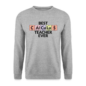 Meilleur professeur de mathématiques de tous les temps - Sweat-shirt Unisexe - gris chiné - Devant - Alina (178cm) & Michal (187cm)