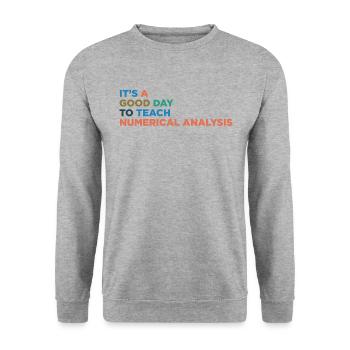 Lehrer Für Numerische Analyse Unterrichten - Unisex Pullover - Weißgrau meliert - Vorne - Alina (178cm) & Michal (187cm)