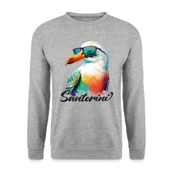 Santorini Greece Holiday Seagull Sunglasses - Unisex Sweatshirt - salt & pepper - Front - Alina (178cm) & Michal (187cm)