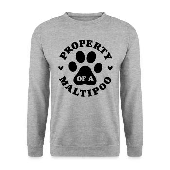 Eigentum eines Maltipoo - Unisex Pullover - Weißgrau meliert - Vorne - Alina (178cm) & Michal (187cm)
