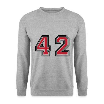 42 symbole numérique - Sweat-shirt Unisexe - gris chiné - Devant - Alina (178cm) & Michal (187cm)