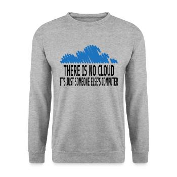 Computer Scientist Computer Science Saying Humor Sarcasm PC - Unisex Sweatshirt - salt & pepper - Front - Alina (178cm) & Michal (187cm)