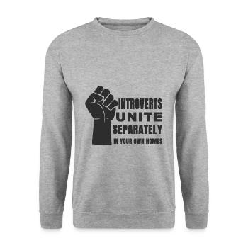 introvert - Unisex Sweatshirt - salt & pepper - Front - Alina (178cm) & Michal (187cm)