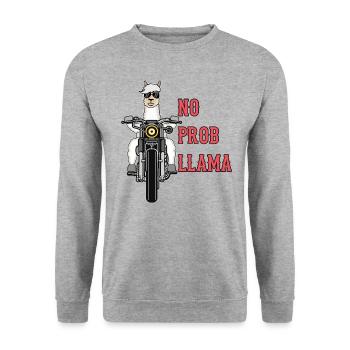 Lama alpaga moto cadeau femmes hommes enfants - Sweat-shirt Unisexe - gris chiné - Devant - Alina (178cm) & Michal (187cm)