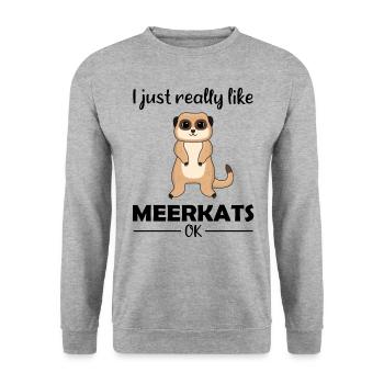 Meerkat Lover Funny Saying Gift - Unisex Sweatshirt - salt & pepper - Front - Alina (178cm) & Michal (187cm)