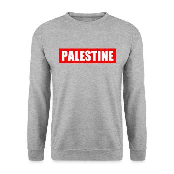 Palestine - Sweat-shirt Unisexe - gris chiné - Devant - Alina (178cm) & Michal (187cm)