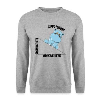 Math Hippotenuse Fonction angulaire Hypoténuse Hippone - Sweat-shirt Unisexe - gris chiné - Devant - Alina (178cm) & Michal (187cm)