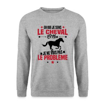 Je sens le cheval et non je ne vois le problème - Sweat-shirt Unisexe - gris chiné - Devant - Alina (178cm) & Michal (187cm)