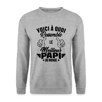 Voici à quoi ressemble le meilleur papi du monde - Sweat-shirt Unisexe - gris chiné - Devant - Alina (178cm) & Michal (187cm)