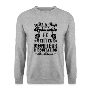 Le meilleur moniteur d'équitation du monde - Sweat-shirt Unisexe - gris chiné - Devant - Alina (178cm) & Michal (187cm)