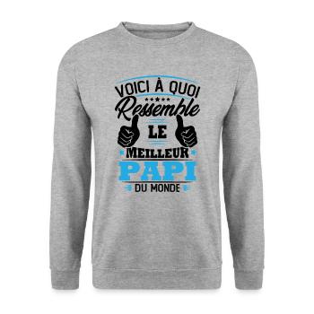 Voici à quoi ressemble le meilleur papi du monde - Sweat-shirt Unisexe - gris chiné - Devant - Alina (178cm) & Michal (187cm)