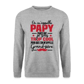 Papy car je suis trop cool / Cadeau grand-père - Sweat-shirt Unisexe - gris chiné - Devant - Alina (178cm) & Michal (187cm)
