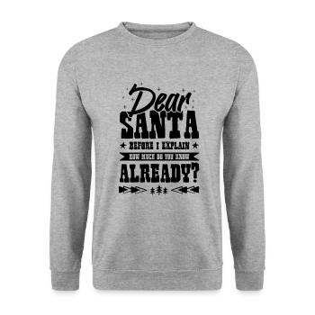 Dear Santa - Unisex Sweatshirt - salt & pepper - Front - Alina (178cm) & Michal (187cm)