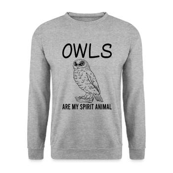 Owls Spirit Animal - Mystical Gift - Unisex Sweatshirt - salt & pepper - Front - Alina (178cm) & Michal (187cm)
